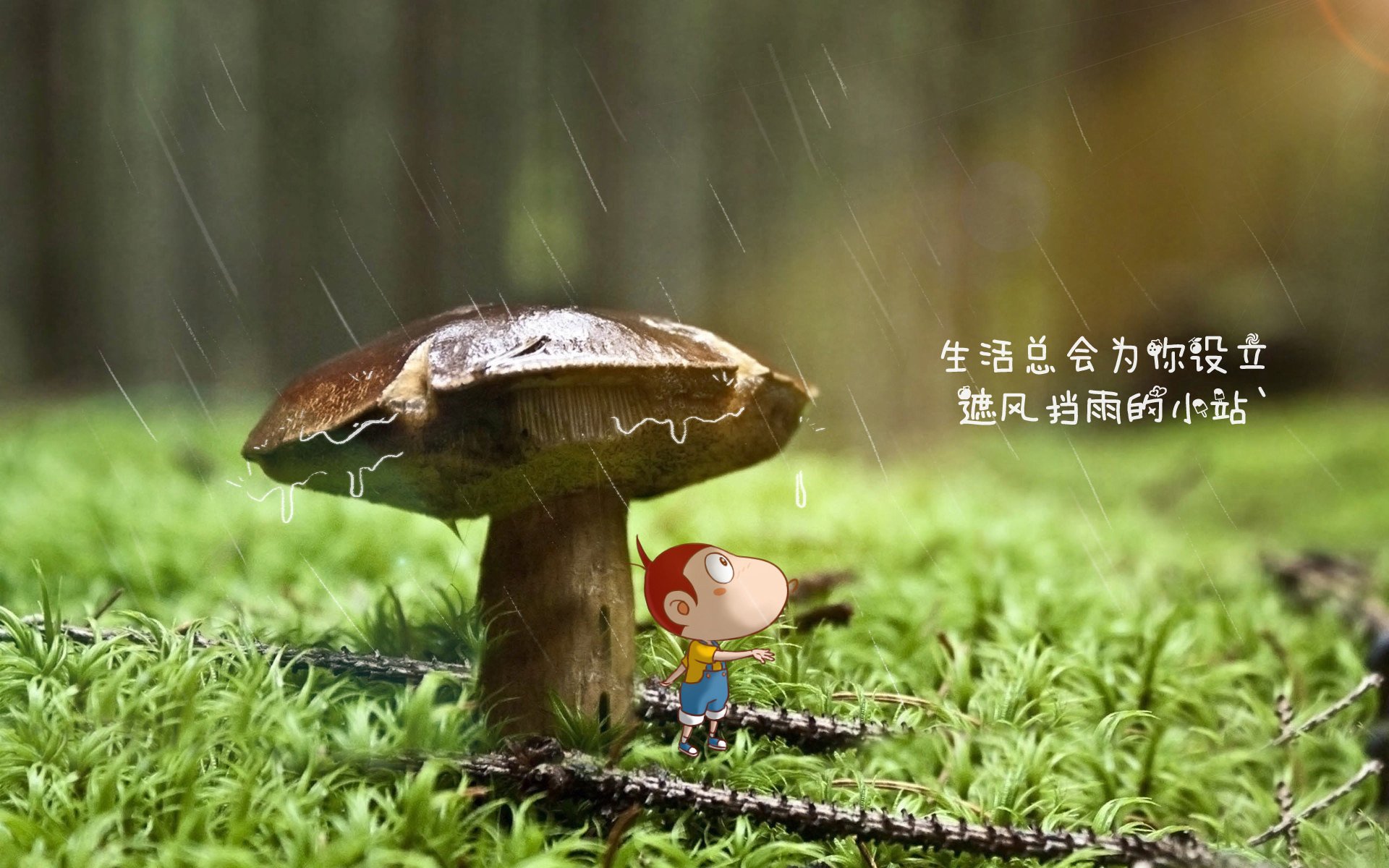 国王主帅专注培养年轻球员对比赛阅读能力，国王球队队员