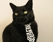 爱游戏中国官方网站平台-蝶泳冲刺荷兰选手爆发力十足，蝶泳系列教程