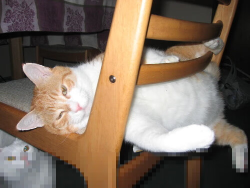 爱游戏中国官方网站平台-跳水半决赛朝鲜成功晋级，朝鲜跳水世界冠军