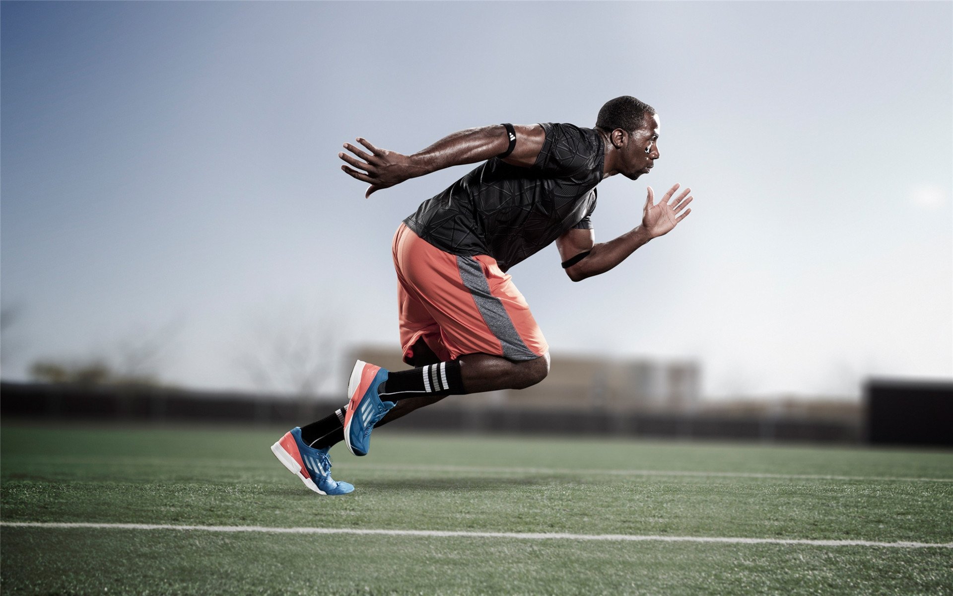 球迷纪录:最忠实欧冠追随者的故事,欧冠 球星